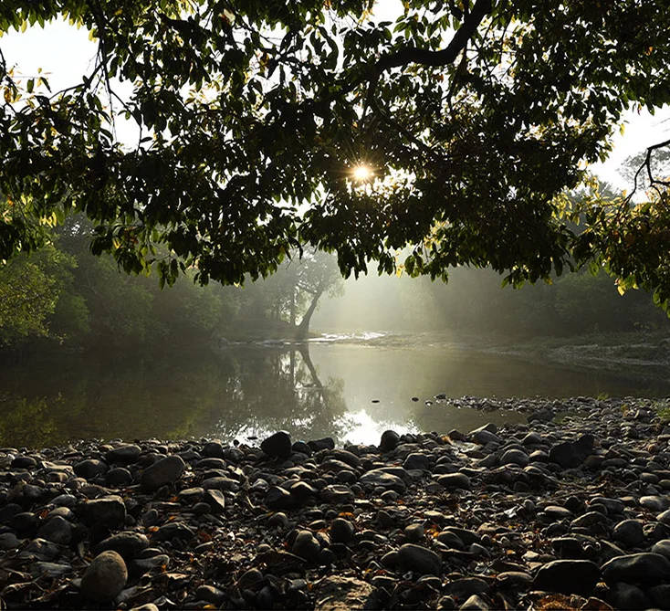 Aralam_Wildlife_Sanctuary