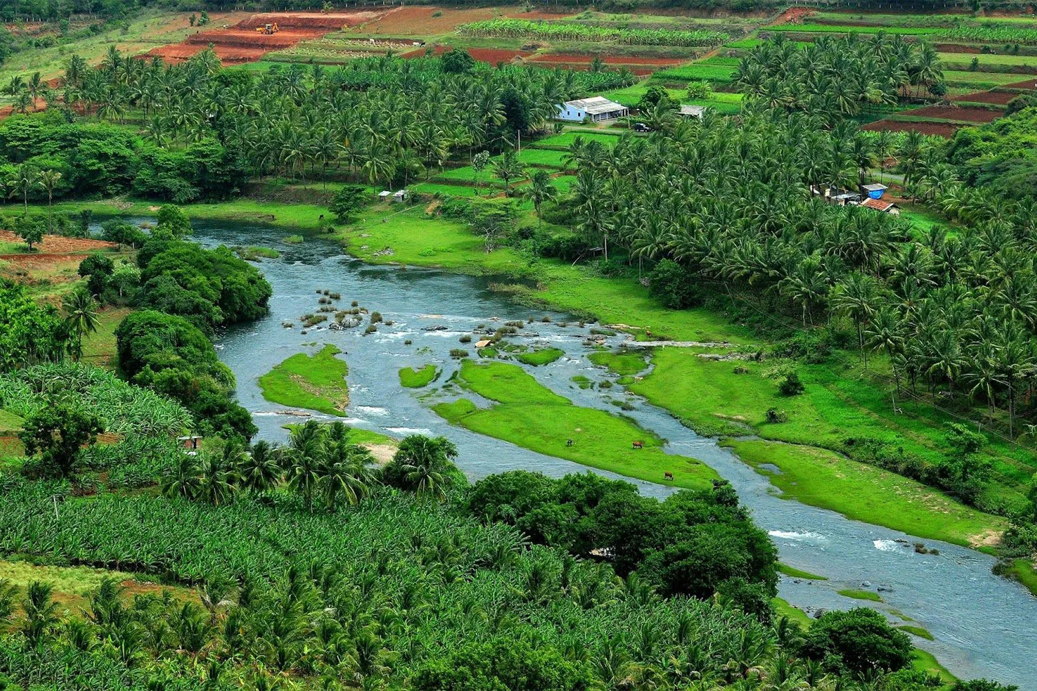 peravoor-image